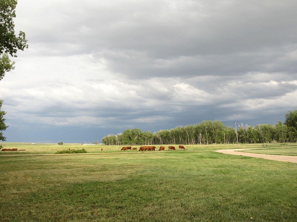 Year of the Farmer | Kelsey Pope: Puppets of the Weather