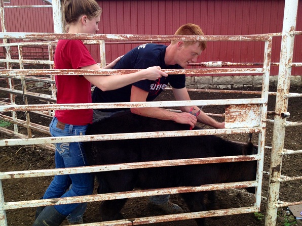 Year of the Farmer | Debbie Lyons-Blythe: Farming Is a Family Business