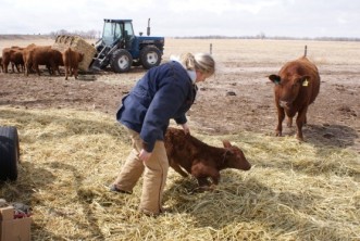 Year of the Farmer | Kelsey Pope | Food: A Farmer Isn’t a Farmer without It