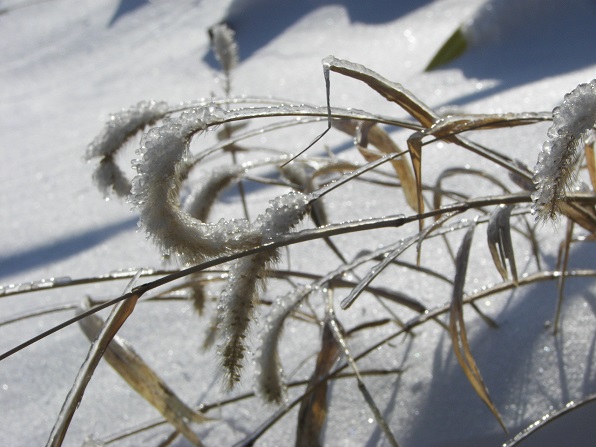 Debbie-Lyons-Blythe-Winter-on-the-Farm-3